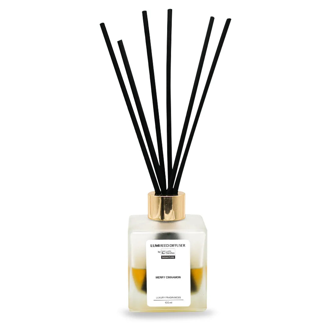 Merry Cinnamon LUMI Reed Diffuser – Signature Blend Christmas Scent