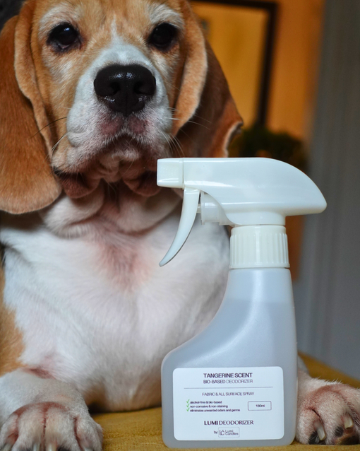 Fragrance-free LUMI pet deodorizer, safe for pets with non-toxic formula