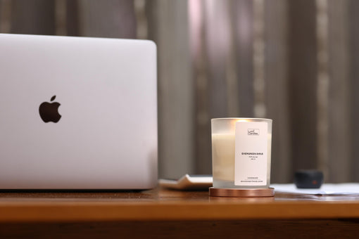 Evergreen Shrub Lumi Candle for Back To School Studying and Learnings