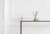 a shelf with books and reed diffuser on top