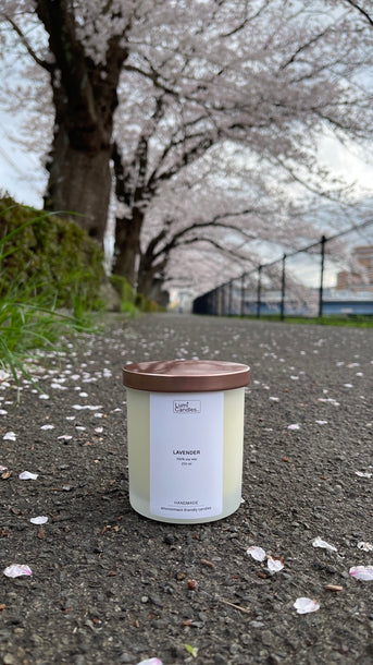 250 ML Lavender Scented Candle by LUMI Candles PH