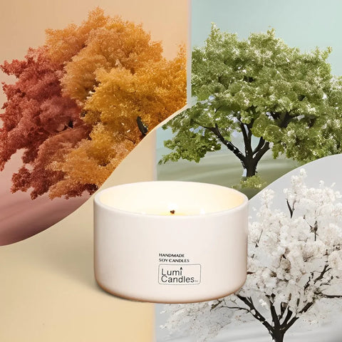 Four Seasons Scented Soy Candle (800 ml) – Signature Blend