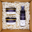 LUMI Car Fresheners and Car Spray Bundle