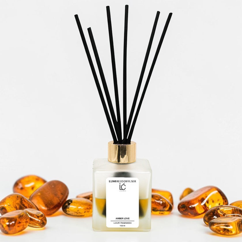 Amber Love LUMI Reed Diffuser scent profile illustration