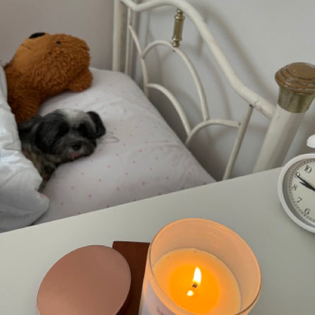 Cozy dog with lighted scented candle by LUMI Candles PH
