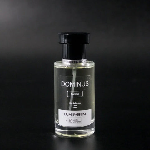 Dominus LUMI Parfum Pour Homme