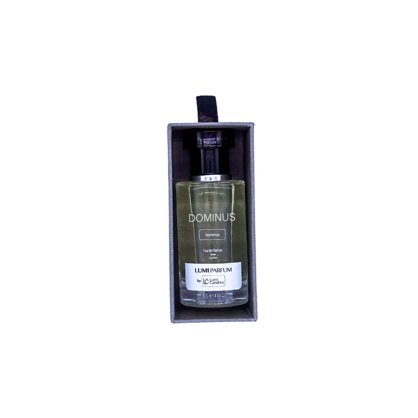 Dominus LUMI Parfum Pour Homme