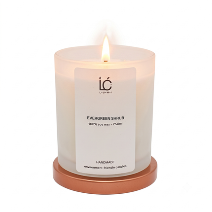 Evergreen Shrub 250ml - Candle Refill
