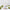 Evergreen Shrub Scented Soy Candle (250 ml)