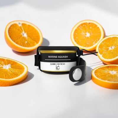 Stylized scent depiction of Marine Squash notes for the LUMI Car Freshener with Holder