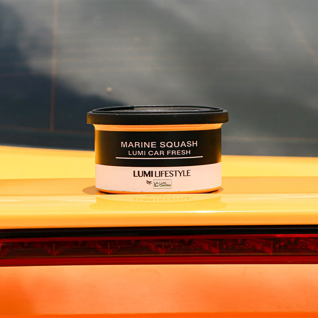 Marine Squash LUMI Car Freshener with Holder