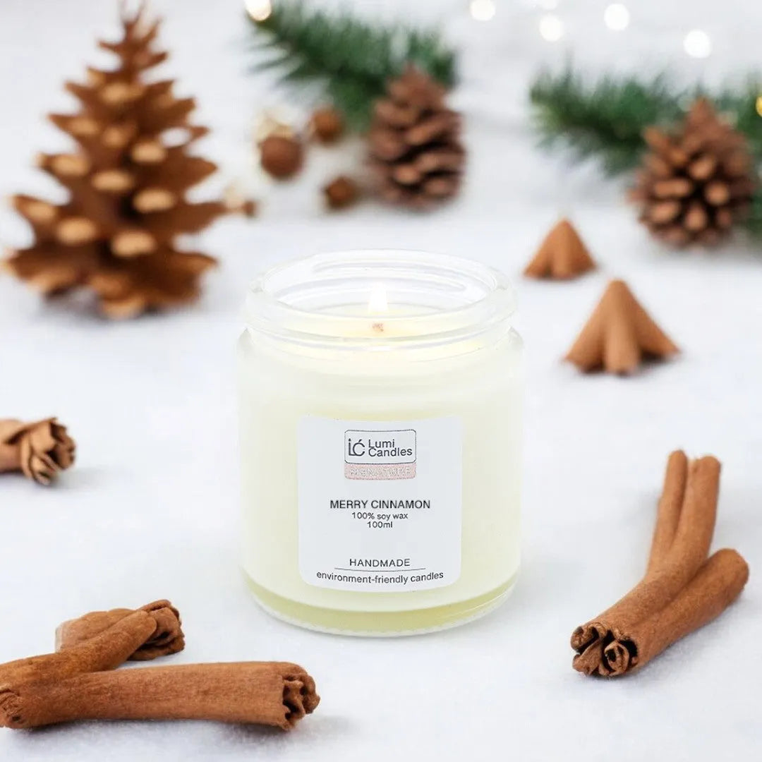 Merry Cinnamon Scented Soy Candle (100 ml) - Signature Blend Christmas Scent