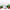 Peppermint Scented Soy Candle (250 ml) - Limited-Edition Christmas Scent