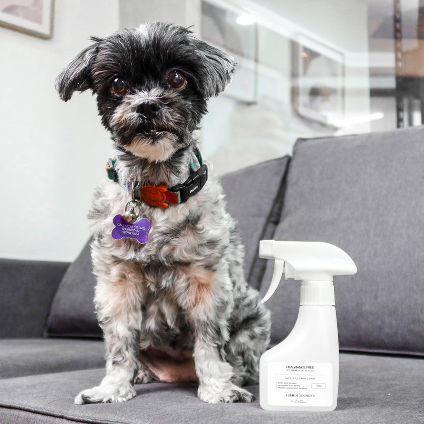 LUMI Pet Deodorizer Spray (Fragrance-Free)