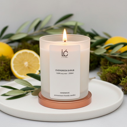 Lit Evergreen Shrub Scented Soy Candle (250ml) in a frosted glass jar with rose gold lid, flame glowing