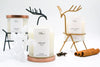 Reindeer Holder and 4 RG LUMIs Bundle B - Lumi Candles PH