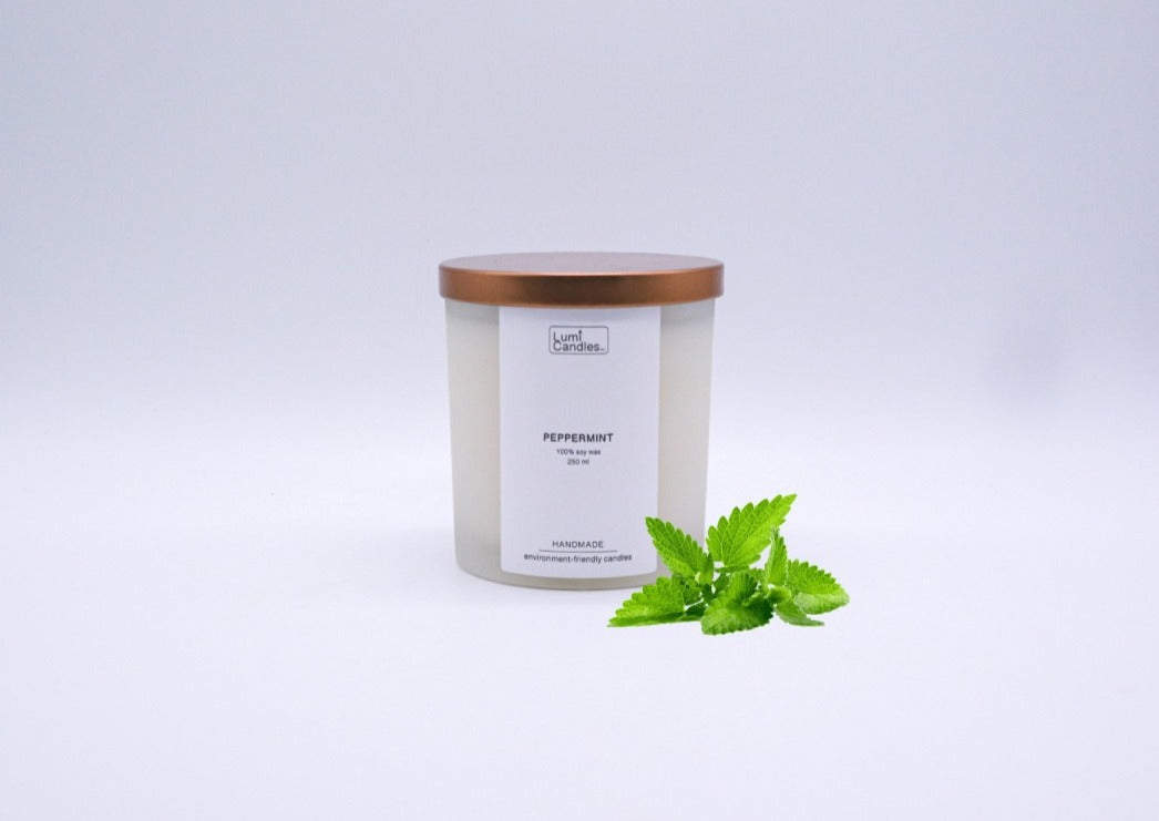 Peppermint Scented Soy Candle (250 ml)