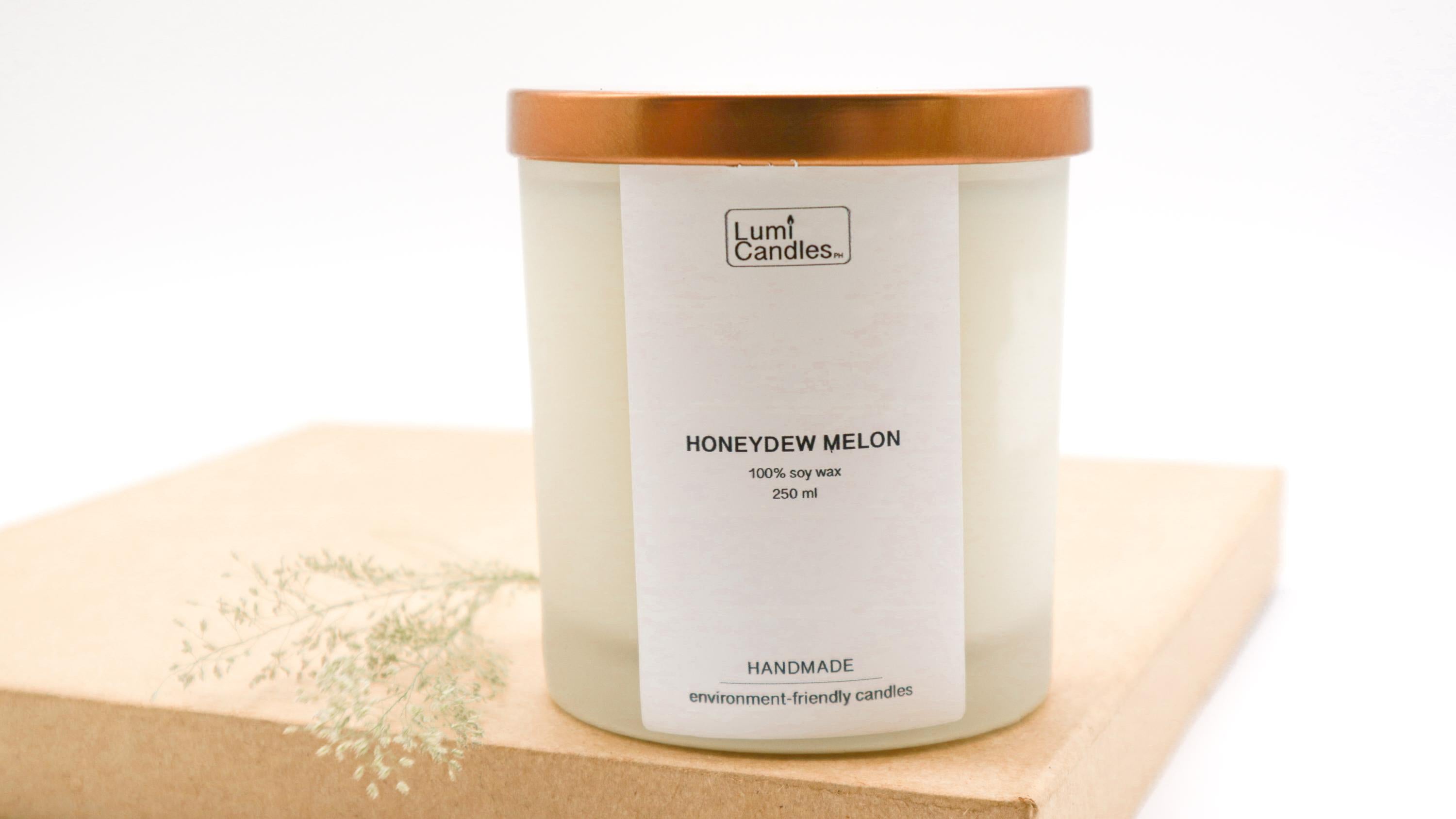 Honeydew Melon Scented Soy Candle (250 ml)