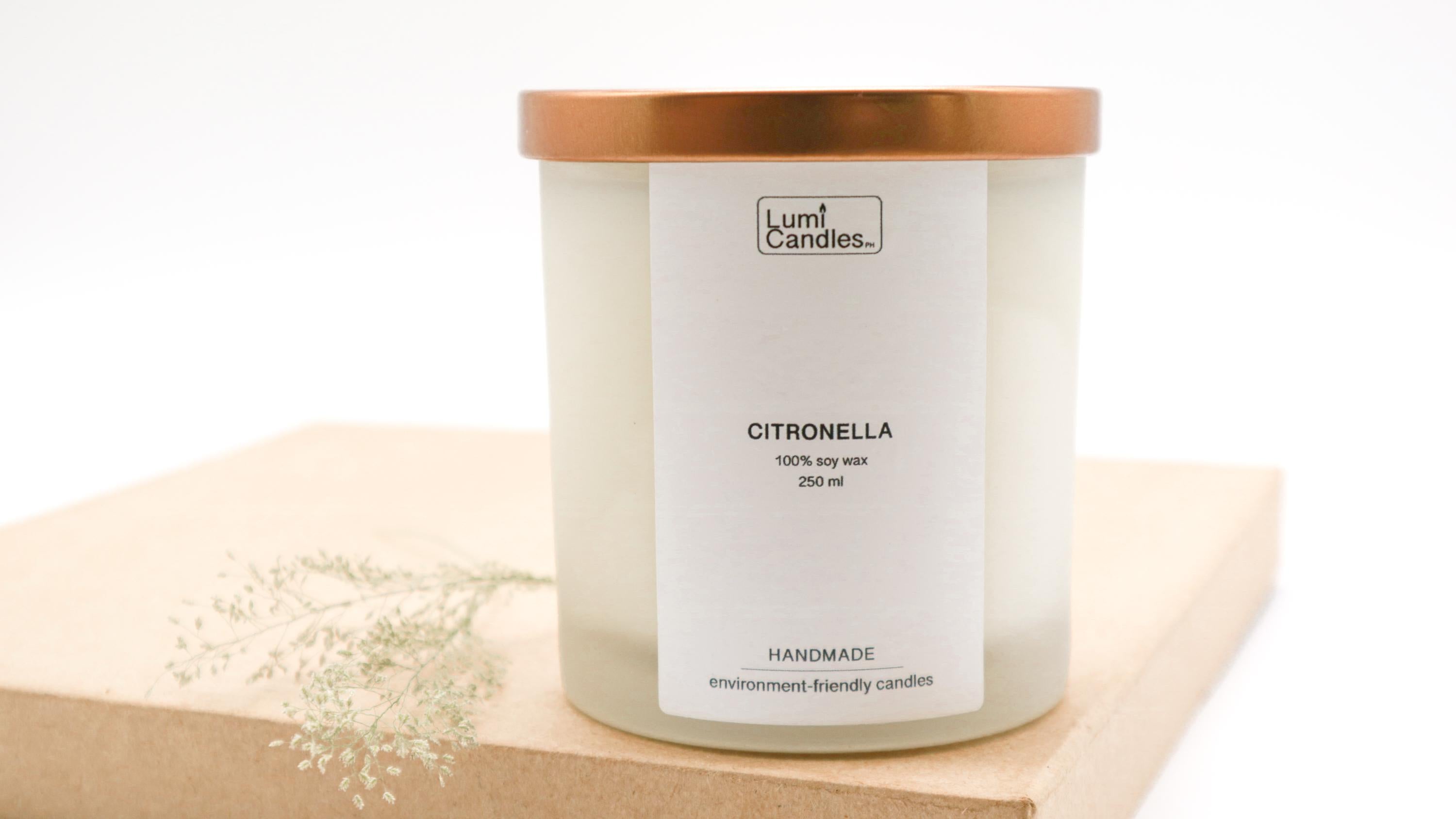 Citronella Scented Soy Candle (250 ml)